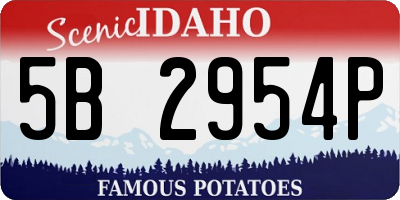 ID license plate 5B2954P