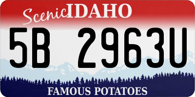 ID license plate 5B2963U