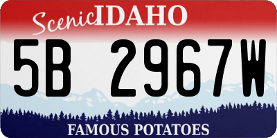 ID license plate 5B2967W