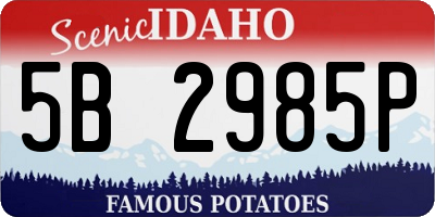 ID license plate 5B2985P