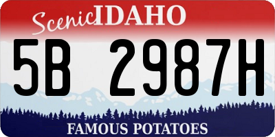 ID license plate 5B2987H