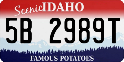 ID license plate 5B2989T