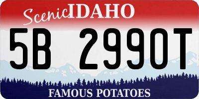 ID license plate 5B2990T