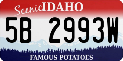 ID license plate 5B2993W