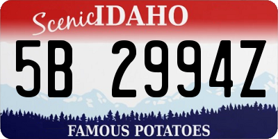 ID license plate 5B2994Z