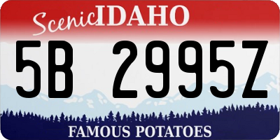 ID license plate 5B2995Z
