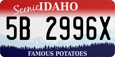ID license plate 5B2996X