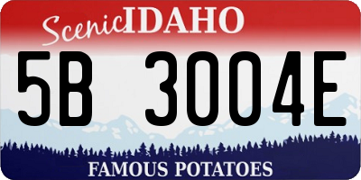 ID license plate 5B3004E