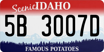 ID license plate 5B3007D