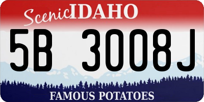 ID license plate 5B3008J