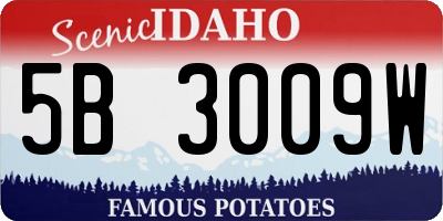 ID license plate 5B3009W
