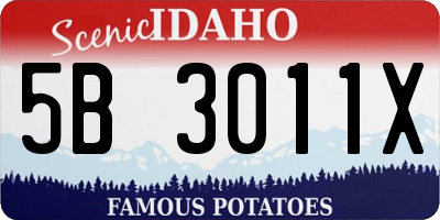 ID license plate 5B3011X