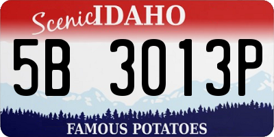 ID license plate 5B3013P