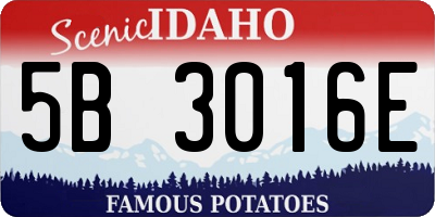ID license plate 5B3016E