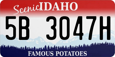 ID license plate 5B3047H