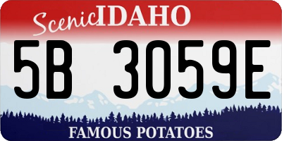 ID license plate 5B3059E