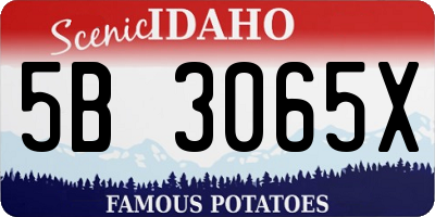 ID license plate 5B3065X