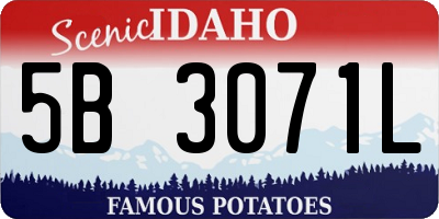 ID license plate 5B3071L