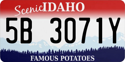 ID license plate 5B3071Y