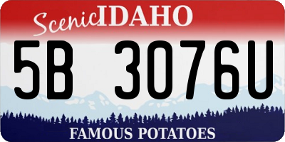 ID license plate 5B3076U