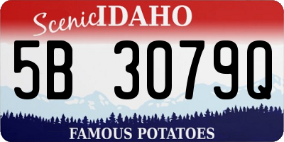 ID license plate 5B3079Q