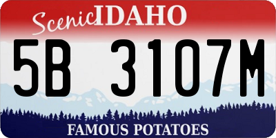ID license plate 5B3107M