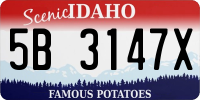 ID license plate 5B3147X