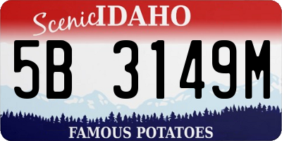 ID license plate 5B3149M