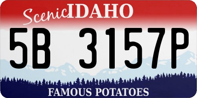 ID license plate 5B3157P