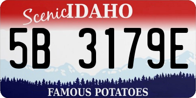 ID license plate 5B3179E