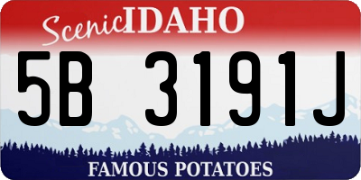 ID license plate 5B3191J