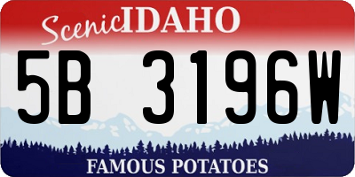 ID license plate 5B3196W