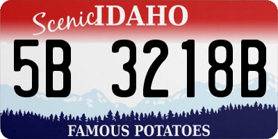 ID license plate 5B3218B