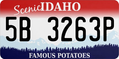 ID license plate 5B3263P