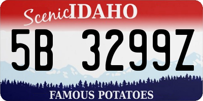 ID license plate 5B3299Z