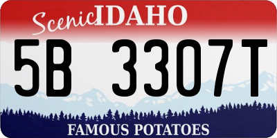 ID license plate 5B3307T