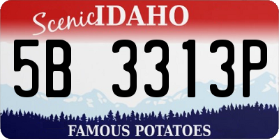 ID license plate 5B3313P