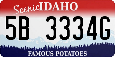 ID license plate 5B3334G