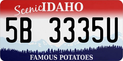 ID license plate 5B3335U
