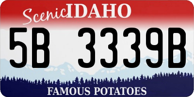 ID license plate 5B3339B