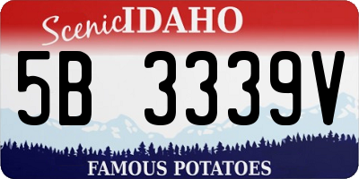 ID license plate 5B3339V