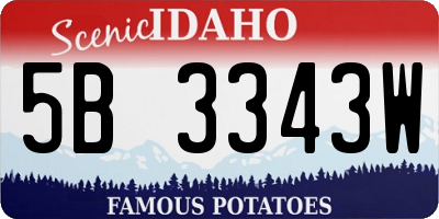 ID license plate 5B3343W