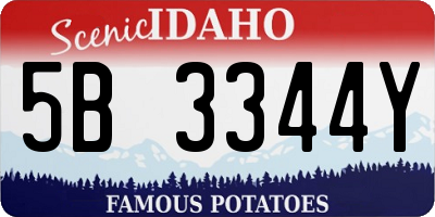 ID license plate 5B3344Y