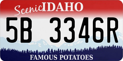 ID license plate 5B3346R