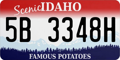 ID license plate 5B3348H