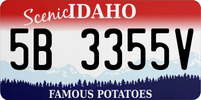 ID license plate 5B3355V