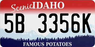 ID license plate 5B3356K