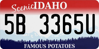 ID license plate 5B3365U