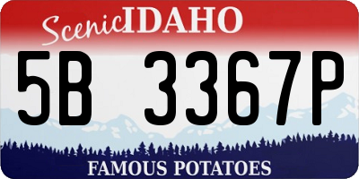 ID license plate 5B3367P