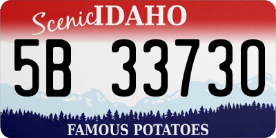 ID license plate 5B3373O